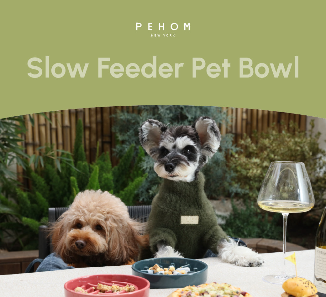Pehom | Slow Feeder Dog Bowls - Red / Green / Blue