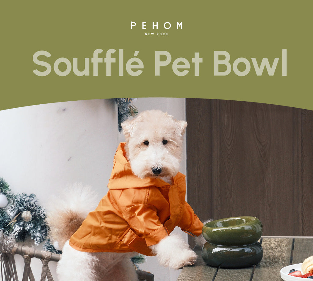 Pehom | Soufflé Pet Bowl - Avocado Green