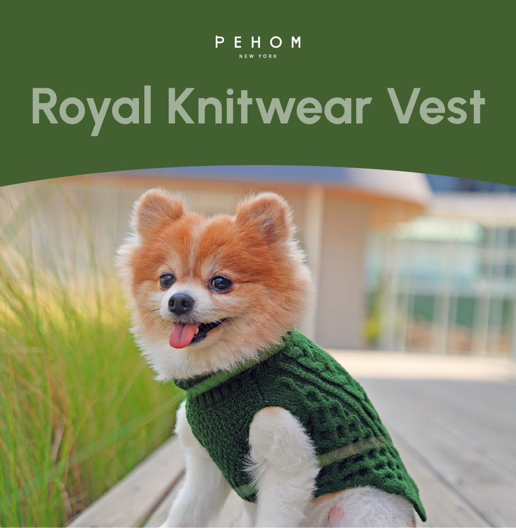 Pehom | Pet Sweater Vest - Green