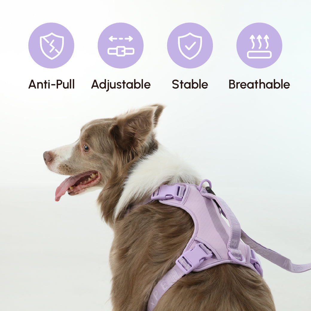 Pehom | No Pull Active Pet Harness - Mint Purple