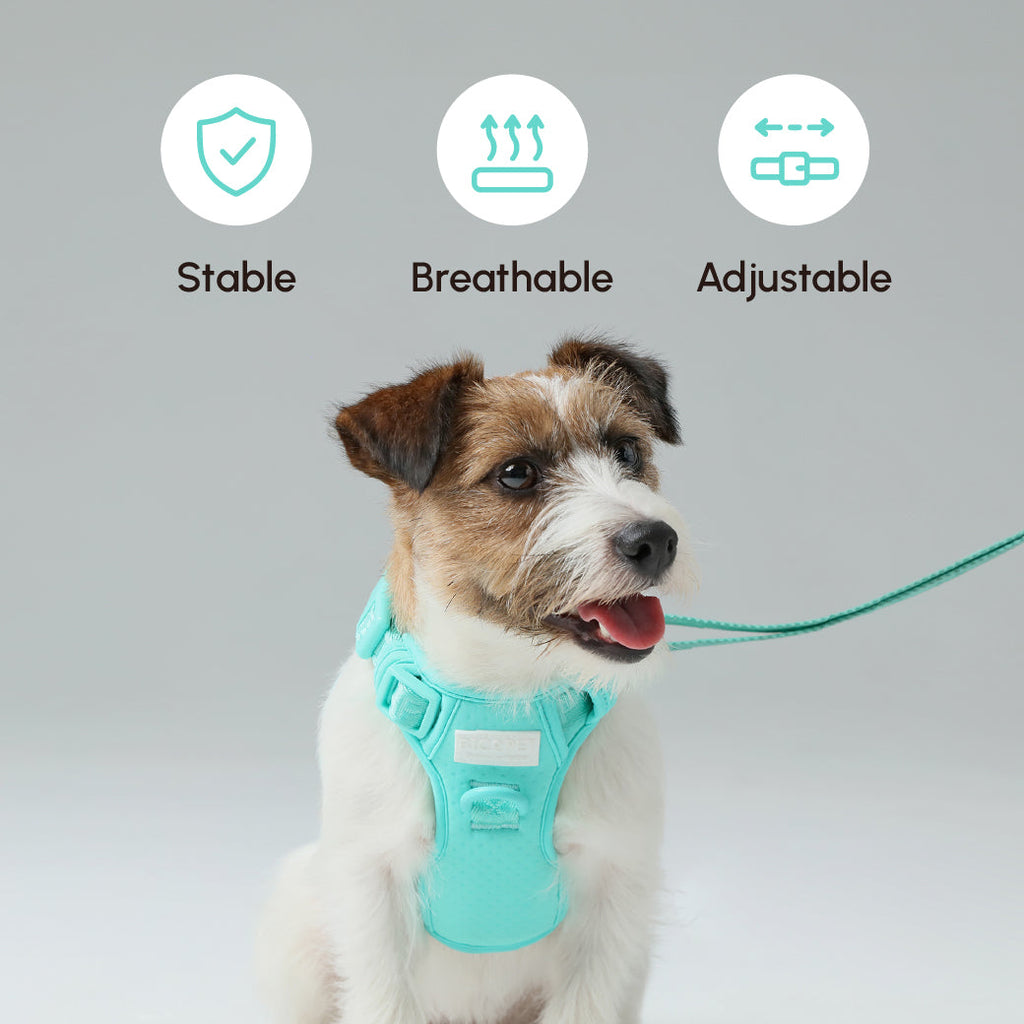 Pehom | Padded Active Pet Leash - Mint Green