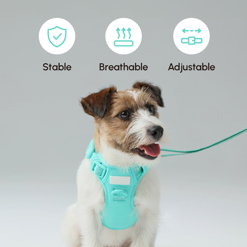 Pehom | Padded Active Pet Leash - Mint Green