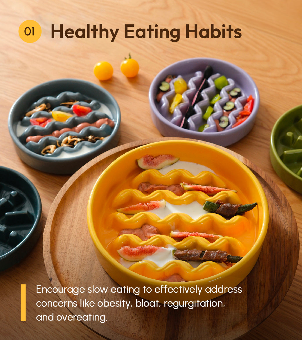 Pehom | Slow Feeder Dog Bowls - Yellow / Frozen Blue / Purple