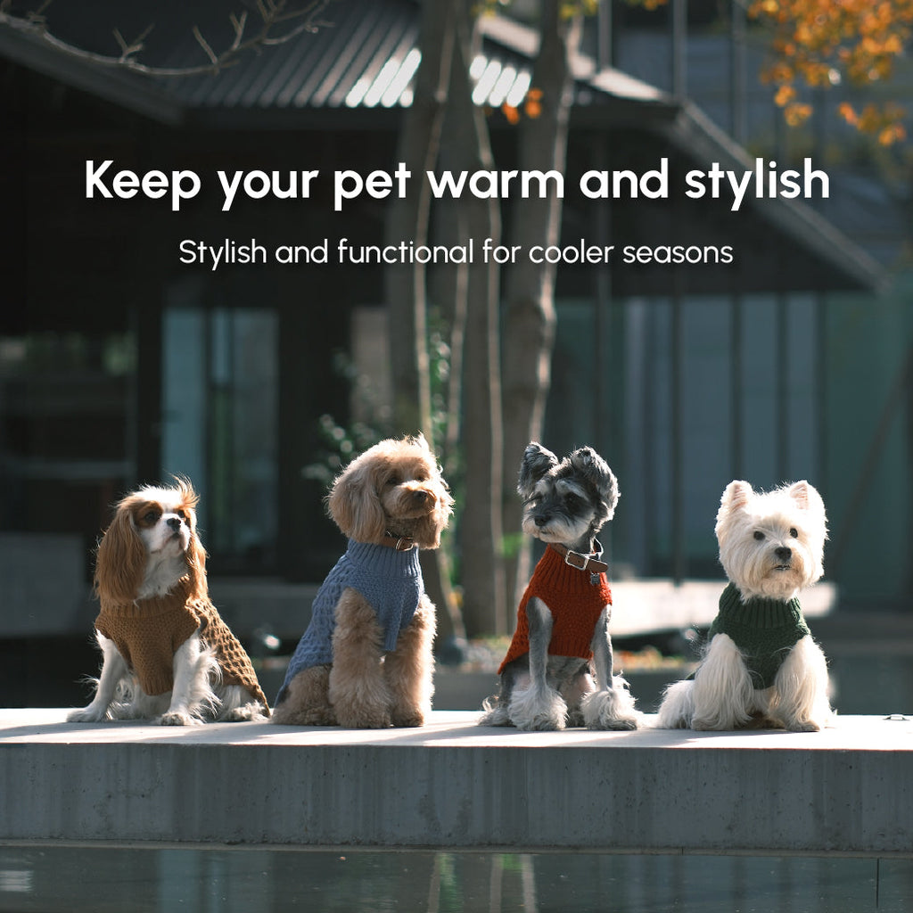 Pehom | Pet Sweater Vest - Green