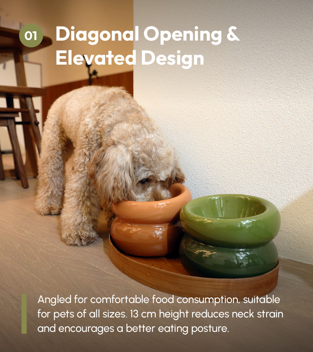 Pehom | Soufflé Pet Bowl - Avocado Green
