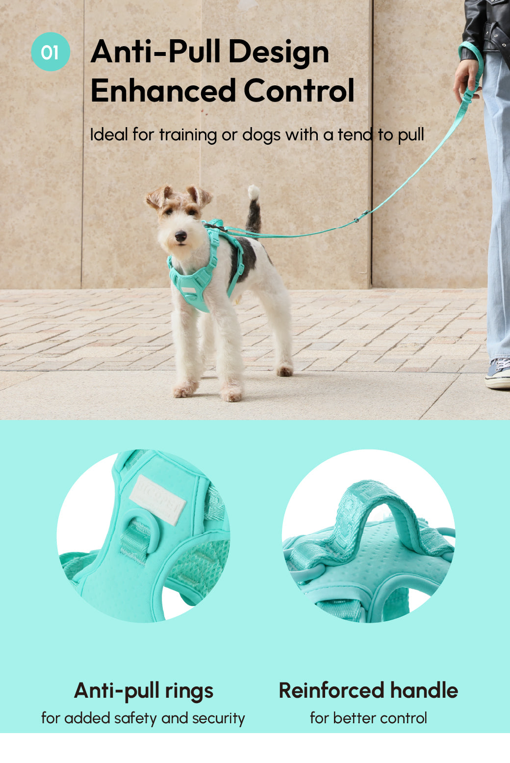 Pehom | No Pull Active Pet Harness - Mint Green