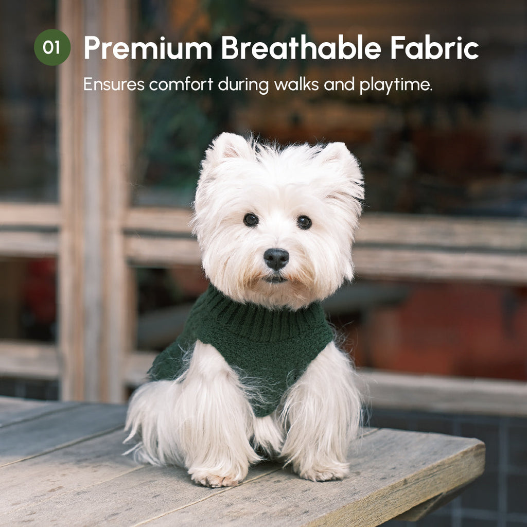 Pehom | Pet Sweater Vest - Green