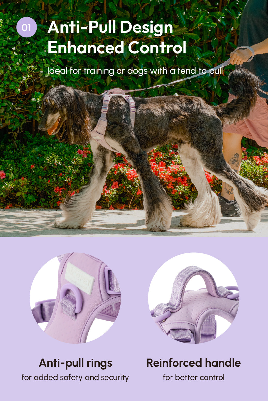 Pehom | No Pull Active Pet Harness - Mint Purple