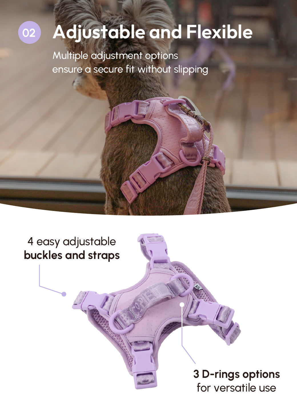 Pehom | No Pull Active Pet Harness - Mint Purple