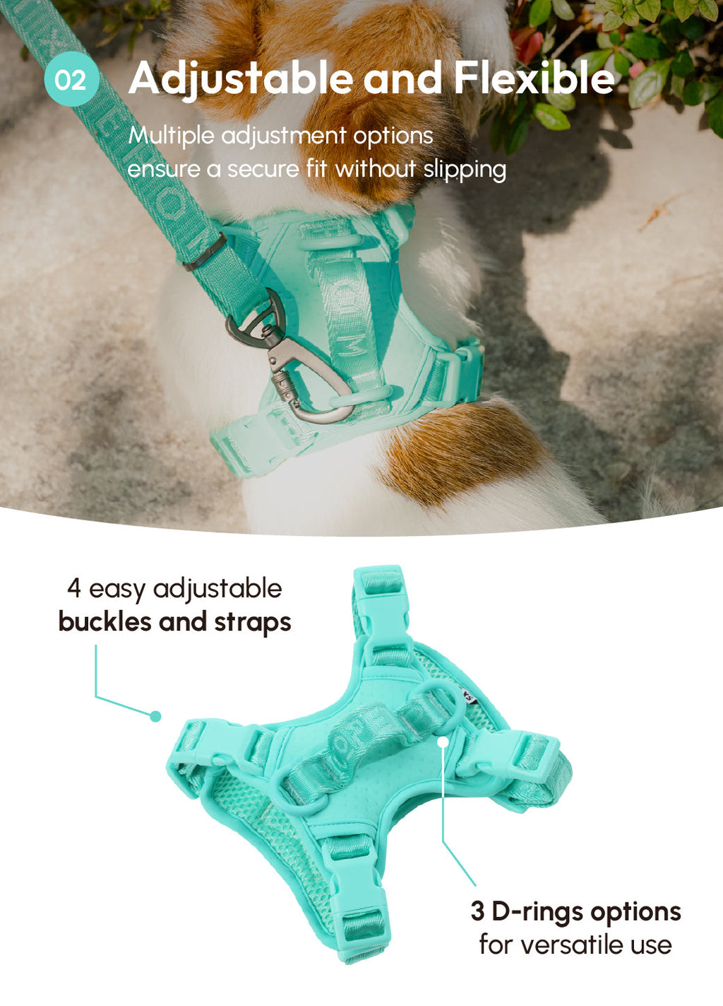 Pehom | No Pull Active Pet Harness - Mint Green