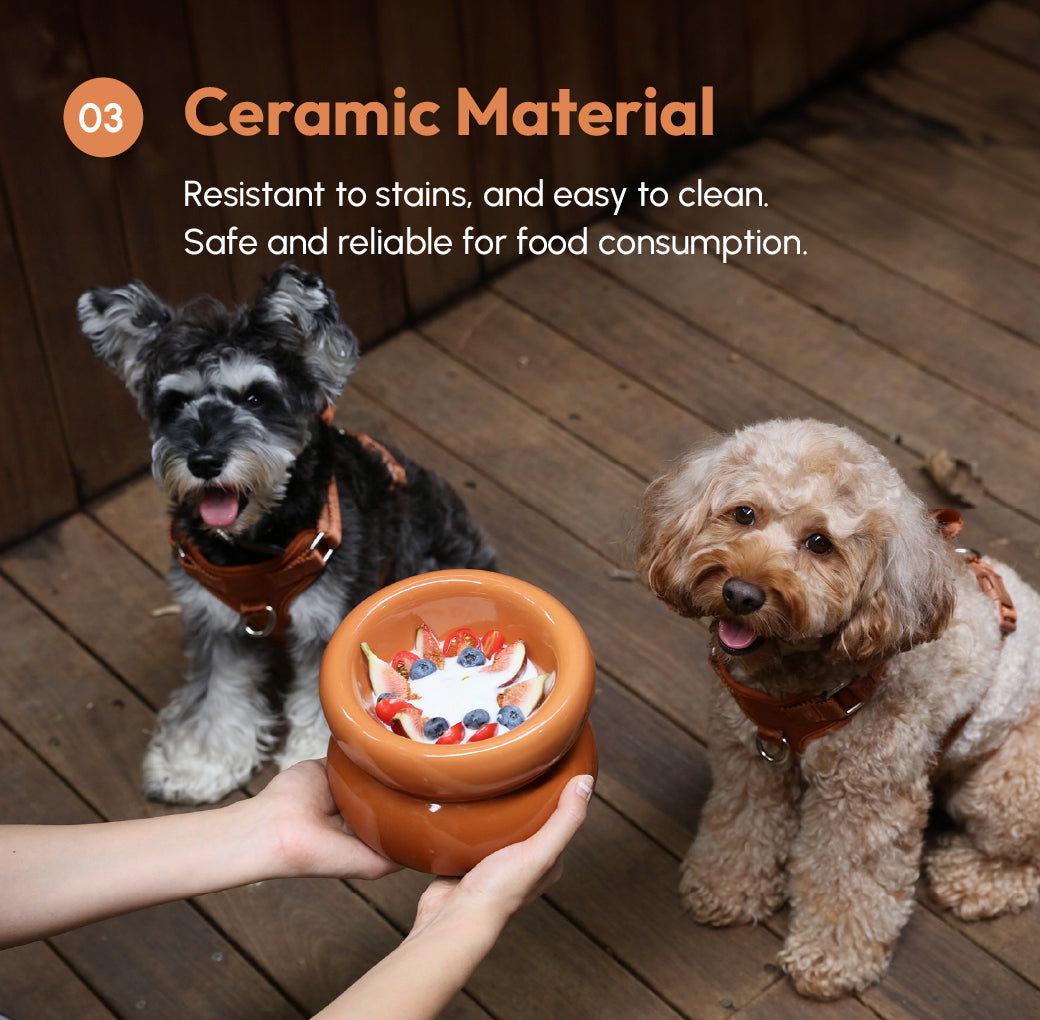 Pehom | Soufflé Pet Bowl - Amber Orange