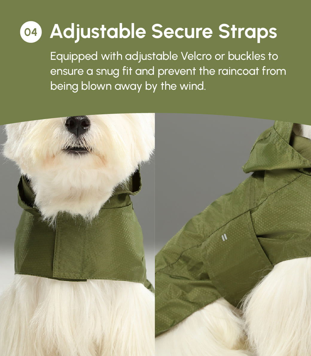 Capsule Raincoat - Purple