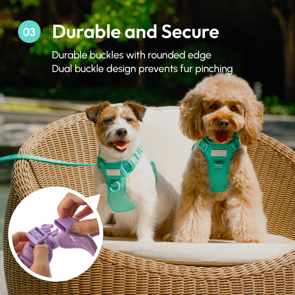 Pehom | No Pull Active Pet Harness - Mint Green