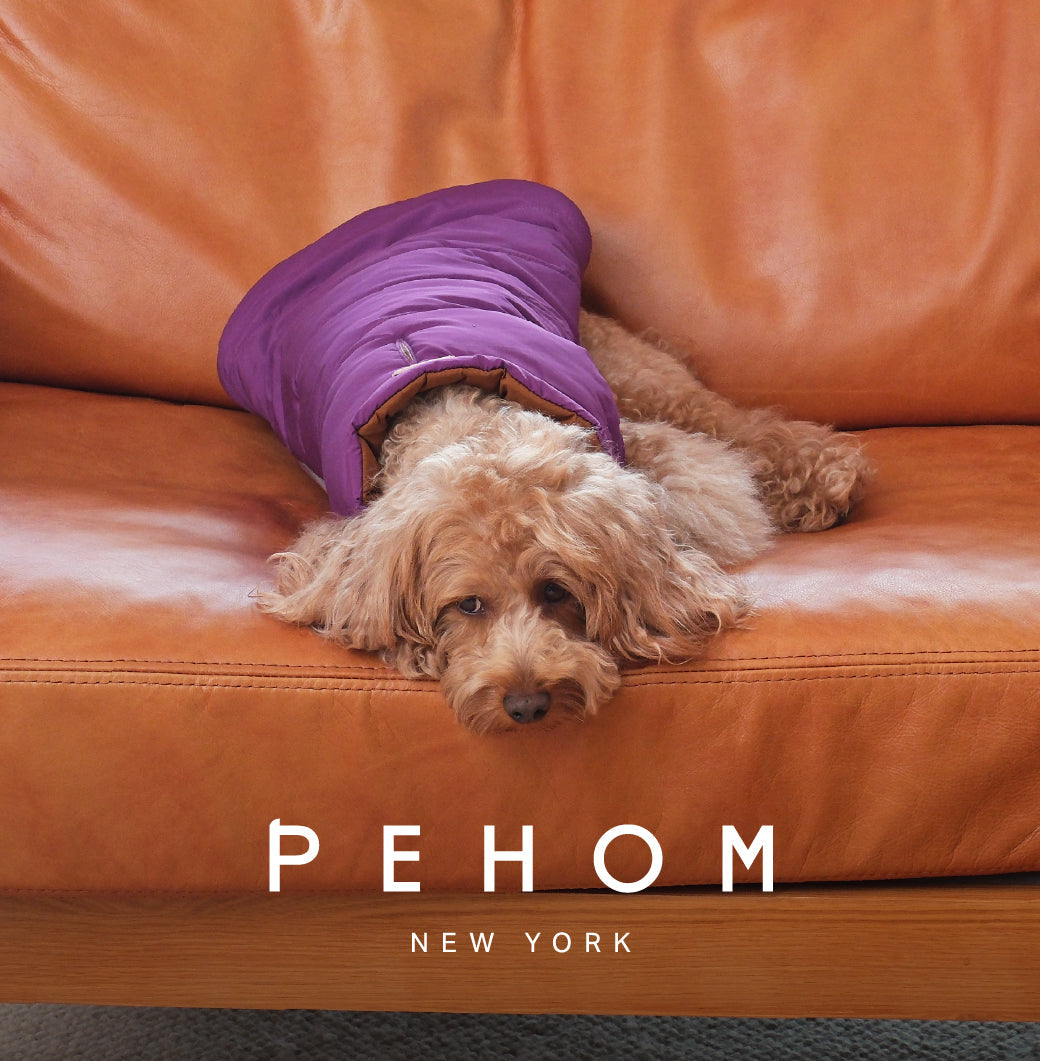 Pehom | Reversible Dog Vest Jacket - Purple Caramel