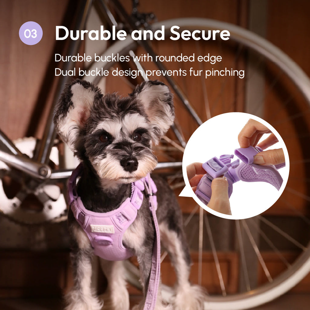 Pehom | No Pull Active Pet Harness - Mint Purple