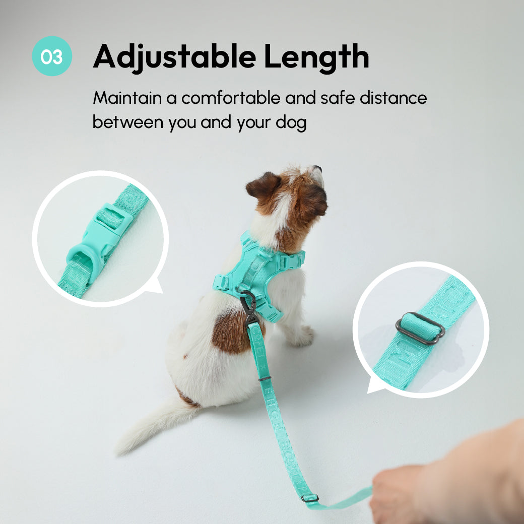 Pehom | Padded Active Pet Leash - Mint Green