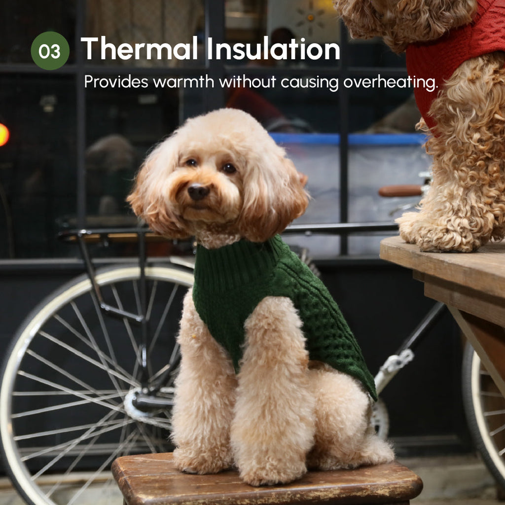 Pehom | Pet Sweater Vest - Green