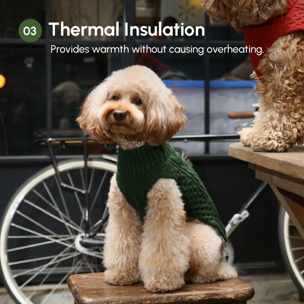Pehom | Pet Sweater Vest - Green