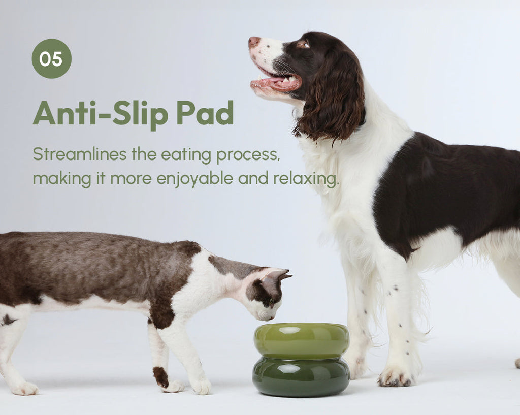 Pehom | Soufflé Pet Bowl - Avocado Green