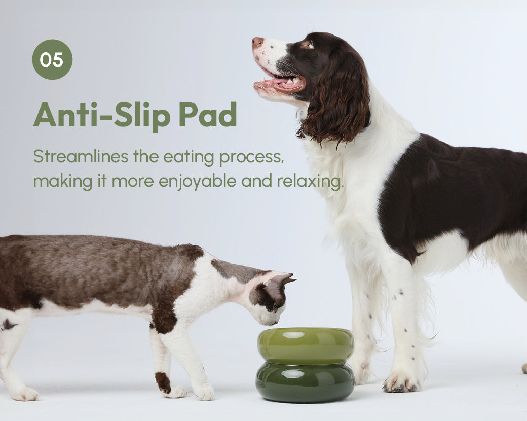 Pehom | Soufflé Pet Bowl - Avocado Green