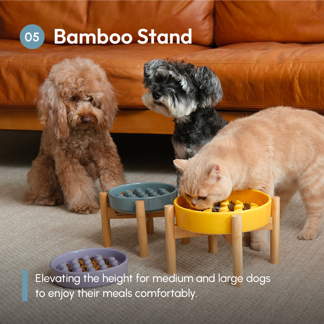 Pehom | Slow Feeder Dog Bowls - Yellow / Frozen Blue / Purple