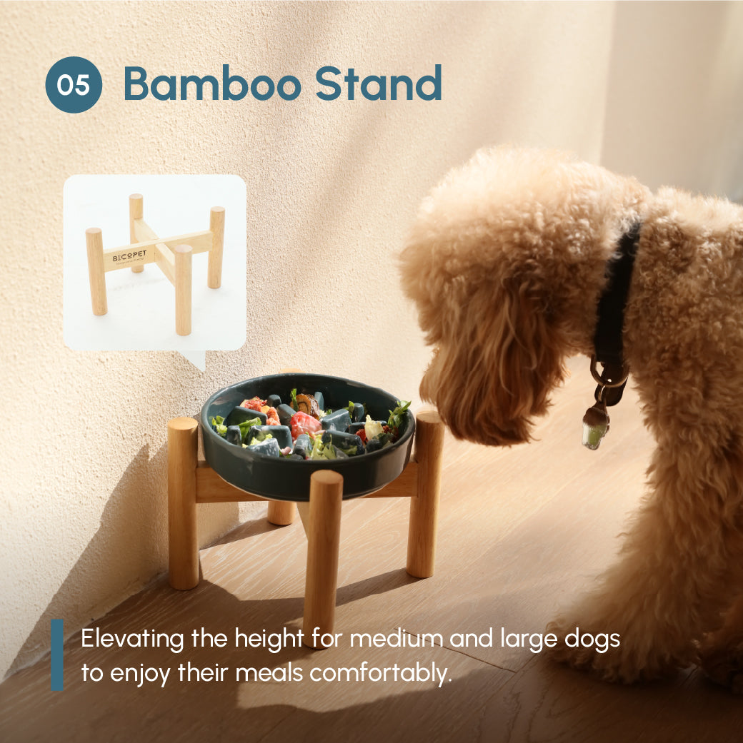 Pehom | Slow Feeder Dog Bowls - Red / Green / Blue