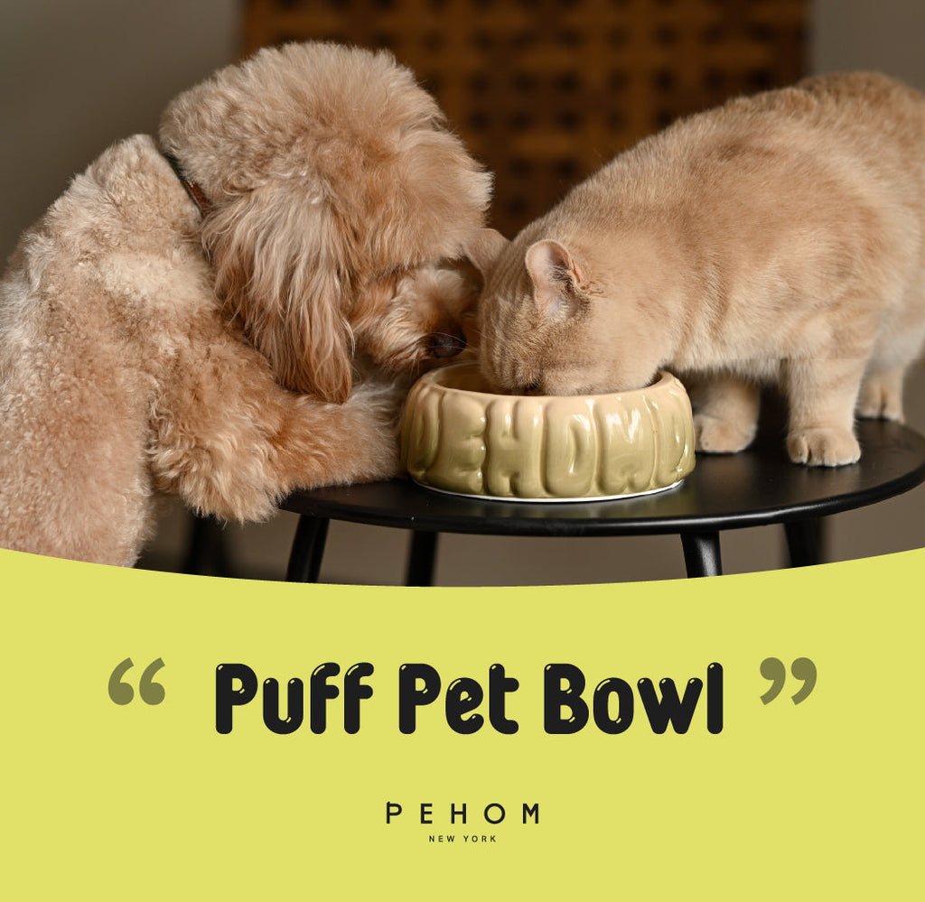 Pehom | Puff Pet Bowl - Gradient Olive