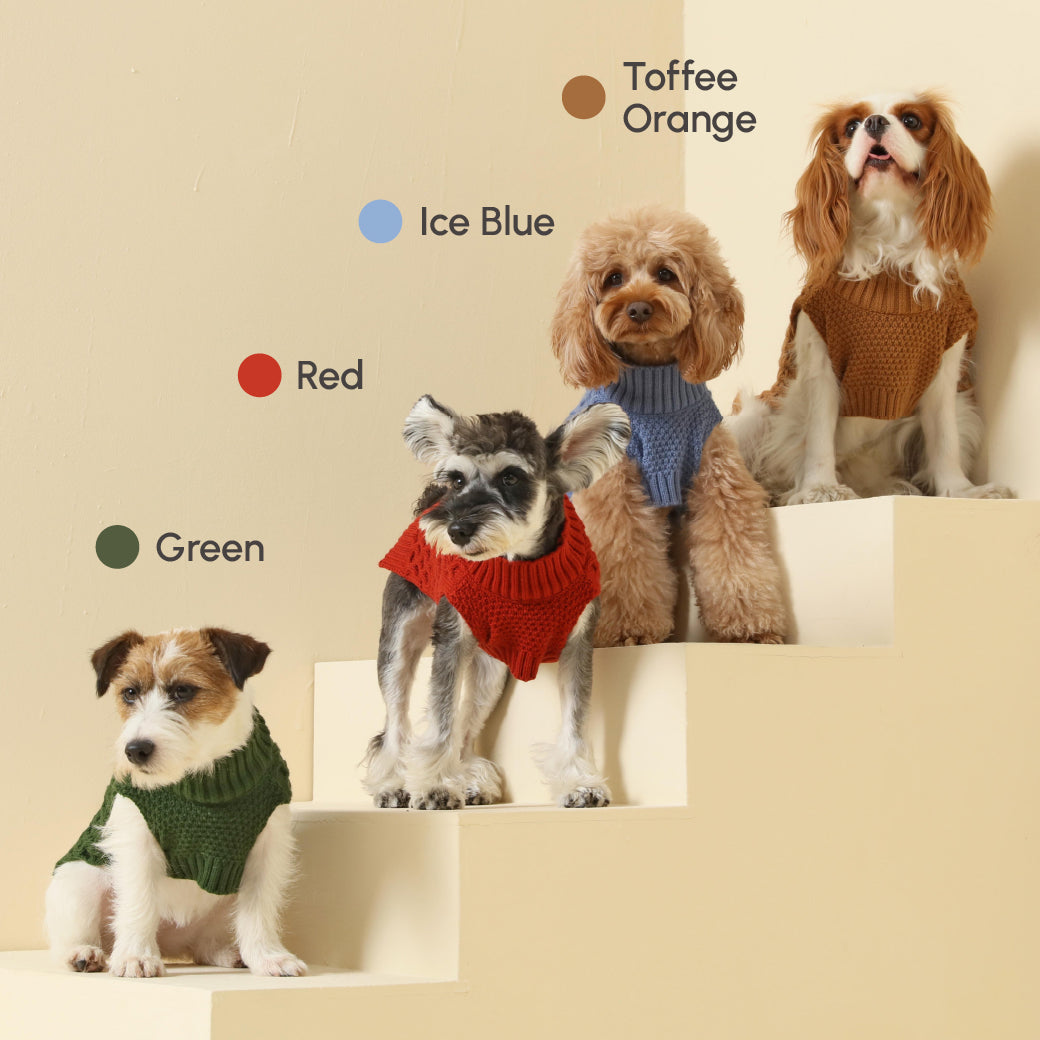 Pehom | Pet Sweater Vest - Green