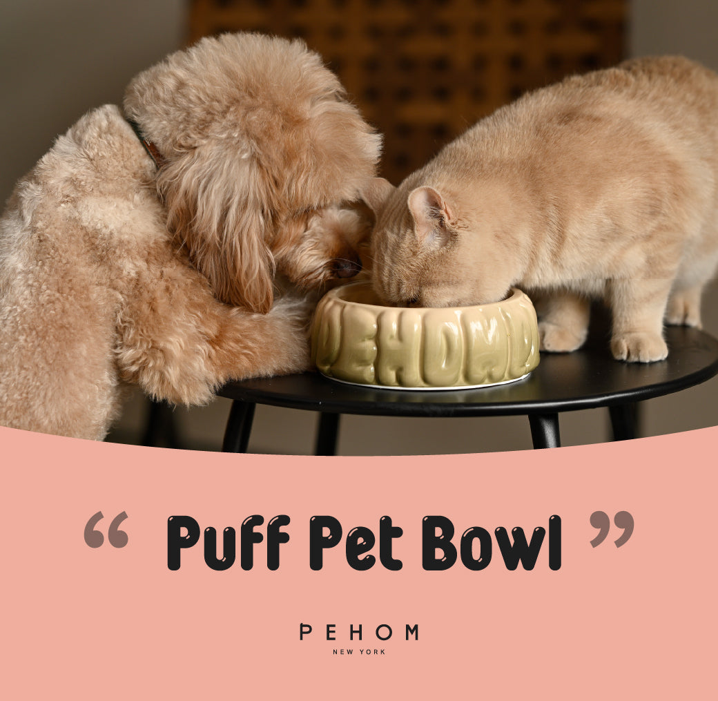 Pehom | Puff Pet Bowl - Gradient Caramel