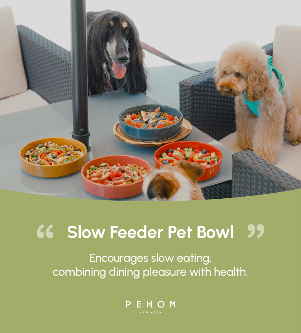 Pehom | Slow Feeder Dog Bowls - Red / Green / Blue