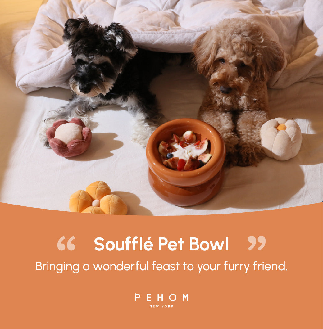 Pehom | Soufflé Pet Bowl - Amber Orange