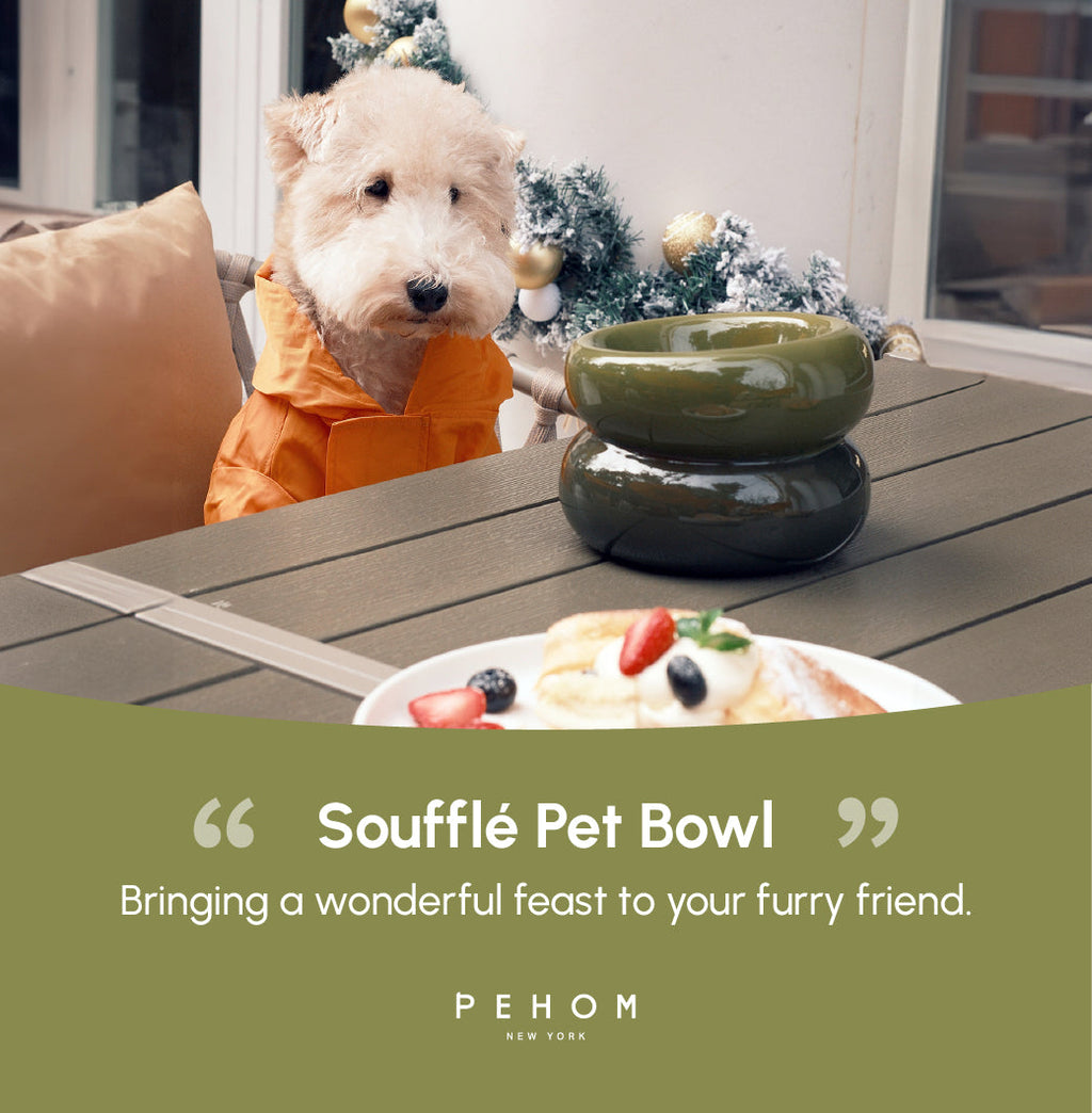 Pehom | Soufflé Pet Bowl - Avocado Green