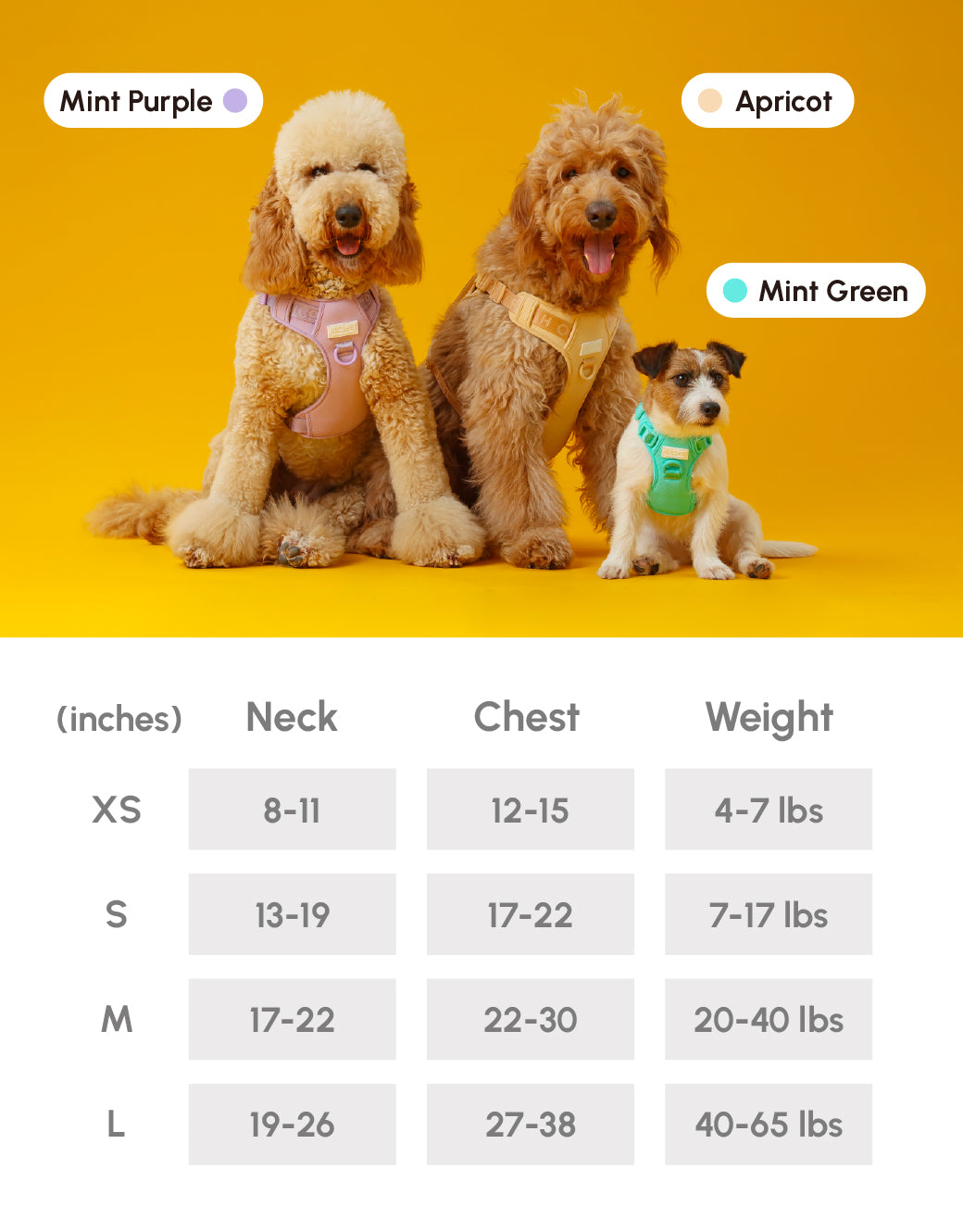 Pehom | No Pull Active Pet Harness - Mint Green