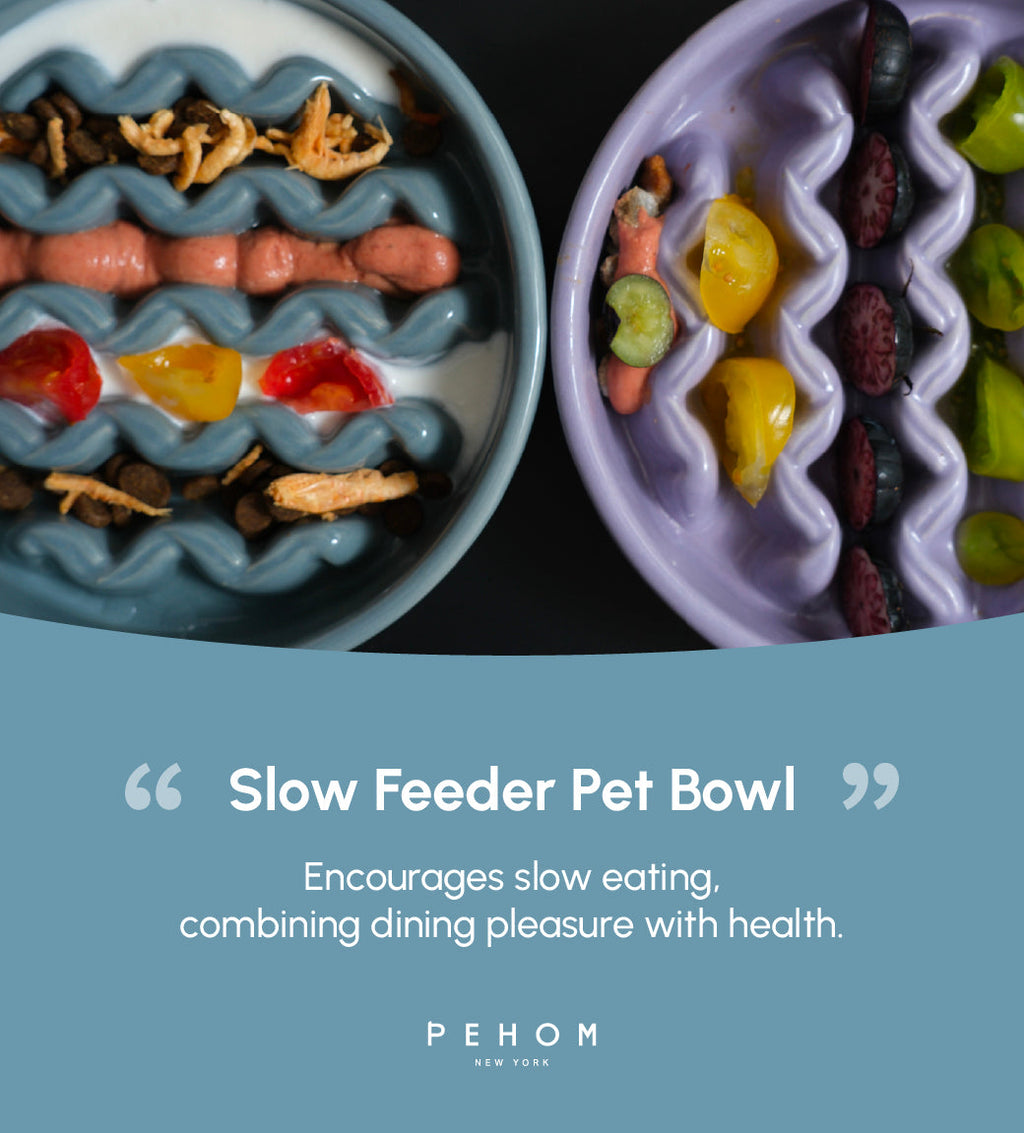 Pehom | Slow Feeder Dog Bowls - Yellow / Frozen Blue / Purple