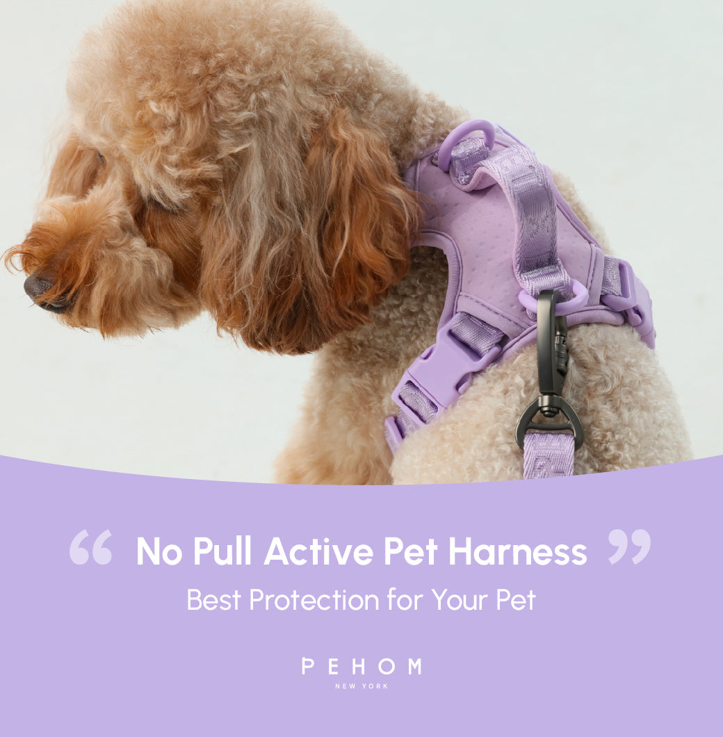 Pehom | No Pull Active Pet Harness - Mint Purple