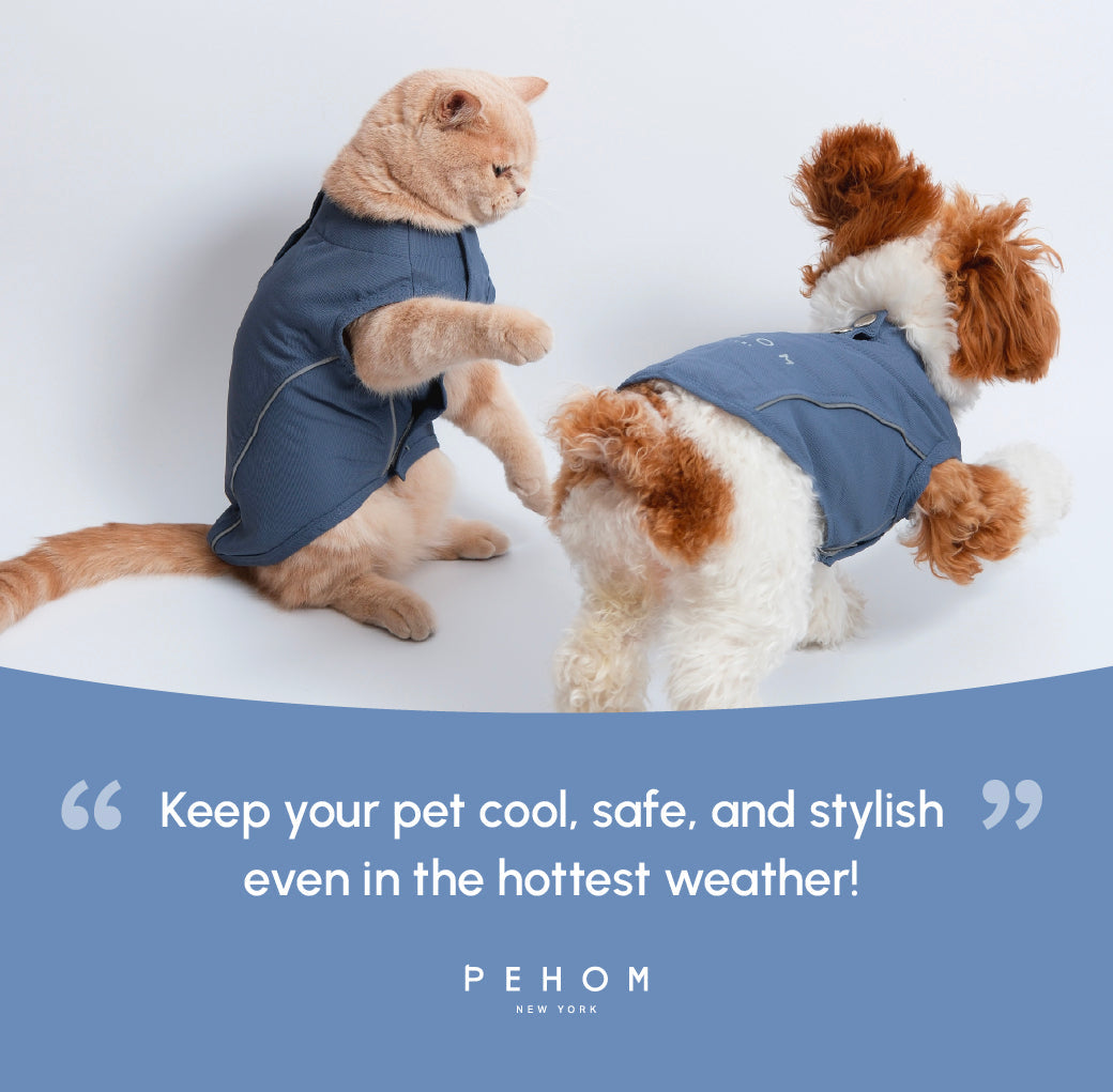 Pehom | Chill Vest Shirt - Blue