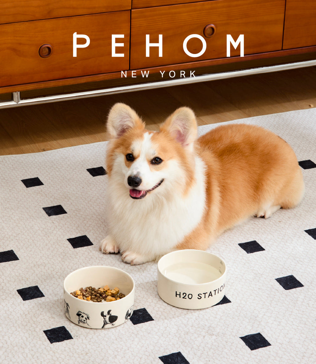 Pehom | Derpy Bowl