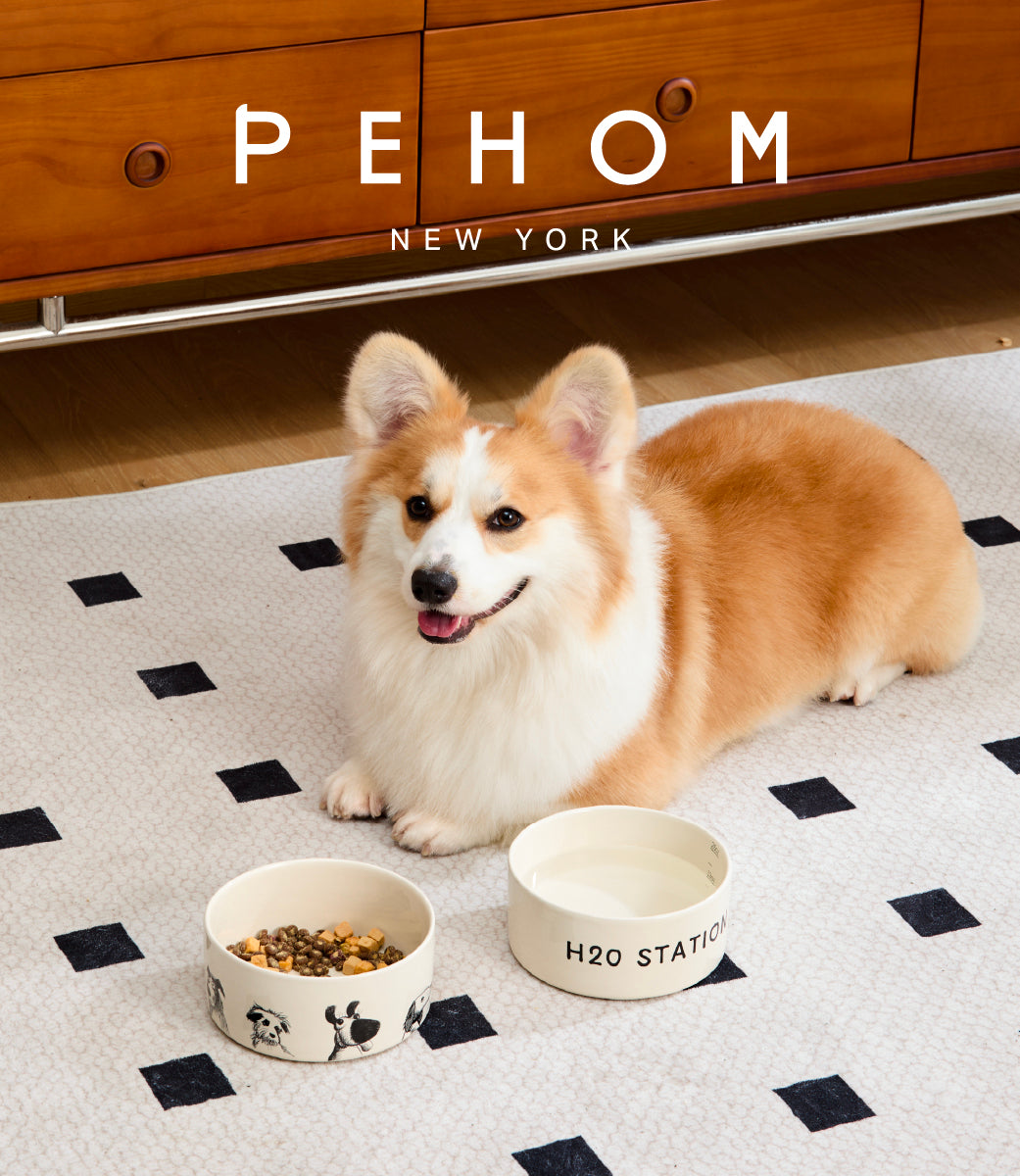 Pehom | Derpy Bowl
