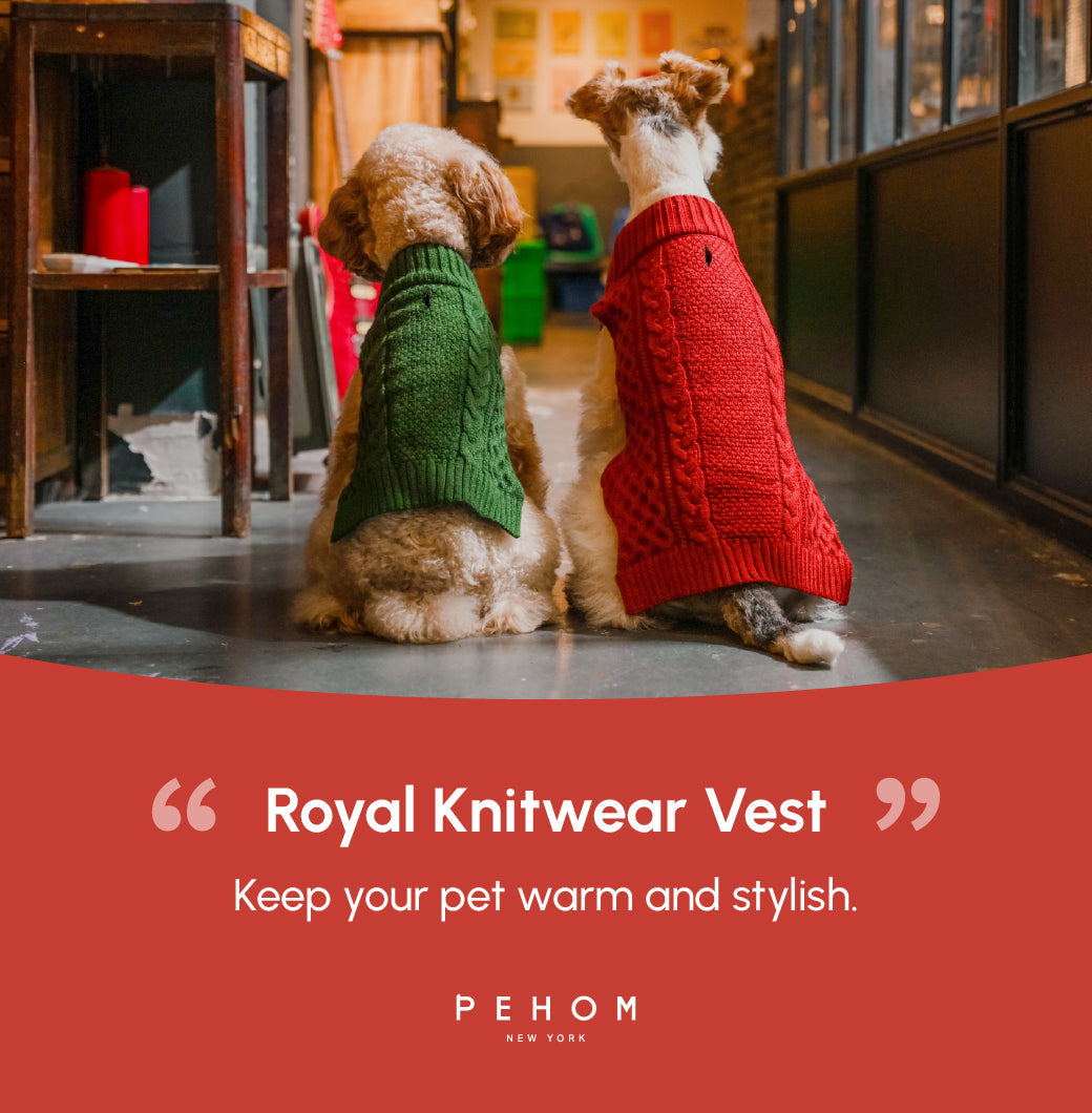 Pet Sweater Vest - Red