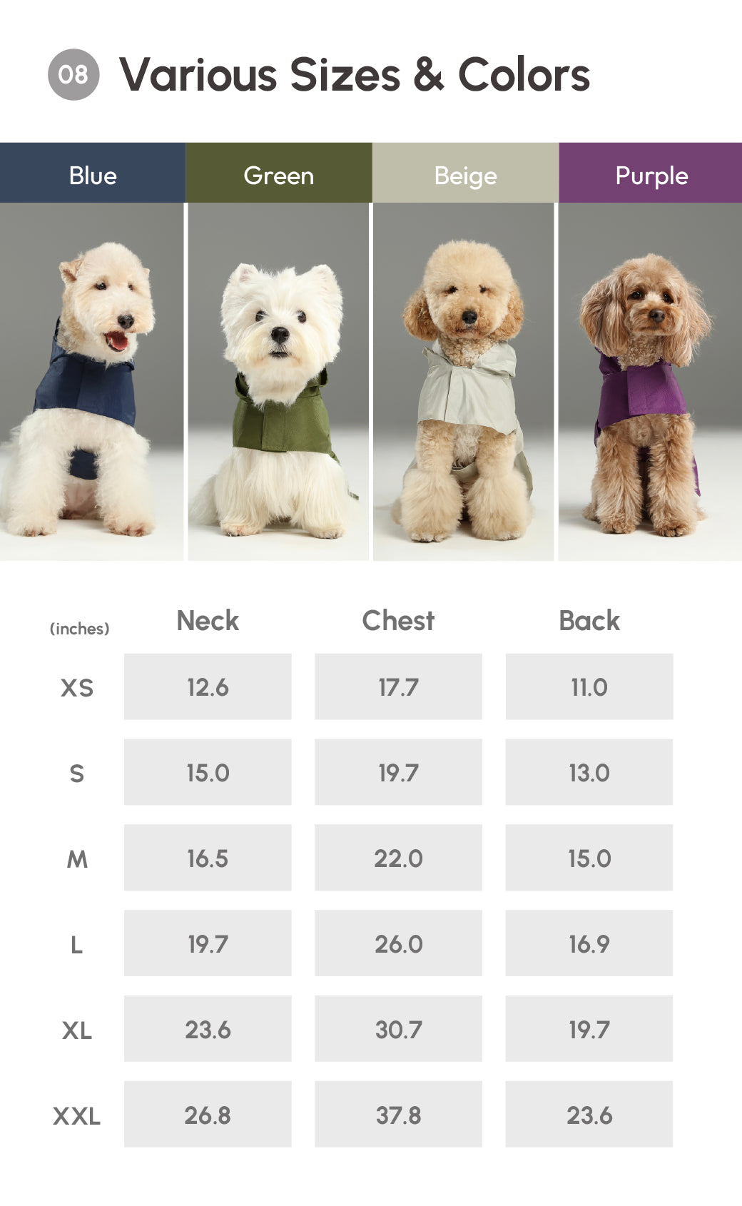 Capsule Raincoat - Purple