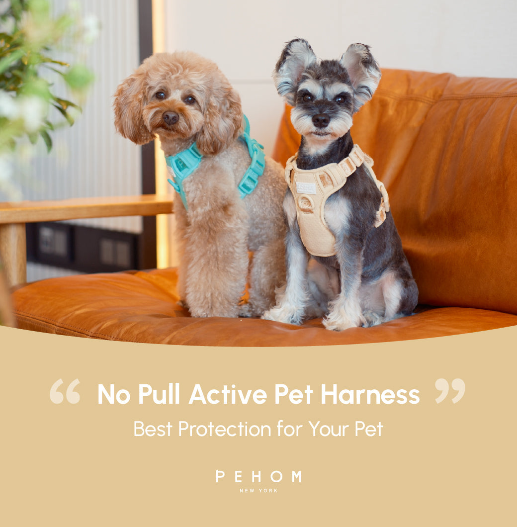 Pehom | No Pull Active Pet Harness - Apricot