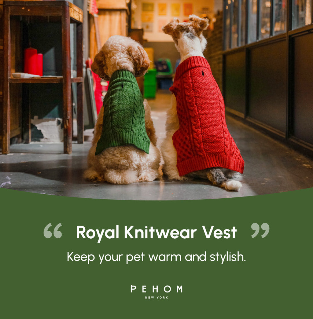 Pehom | Pet Sweater Vest - Green
