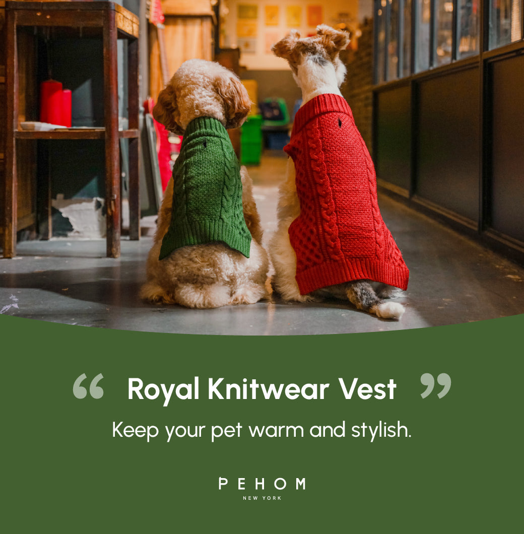 Pehom | Pet Sweater Vest - Green