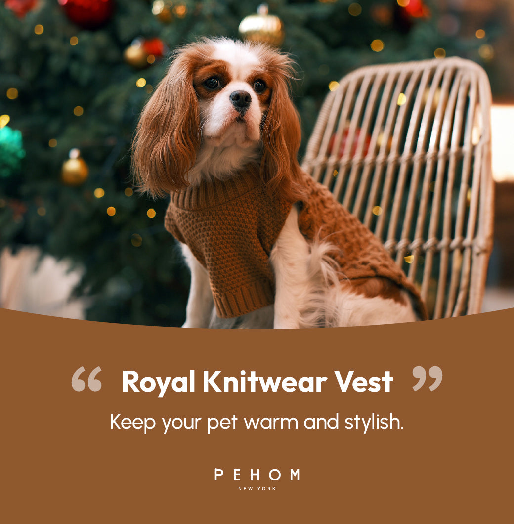Pehom | Pet Sweater Vest - Toffee Orange