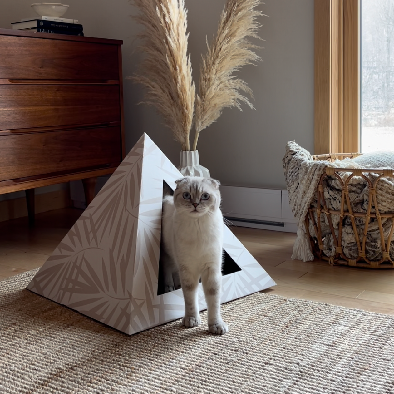 'Neutral Palm' Cardboard Cat Pyramid