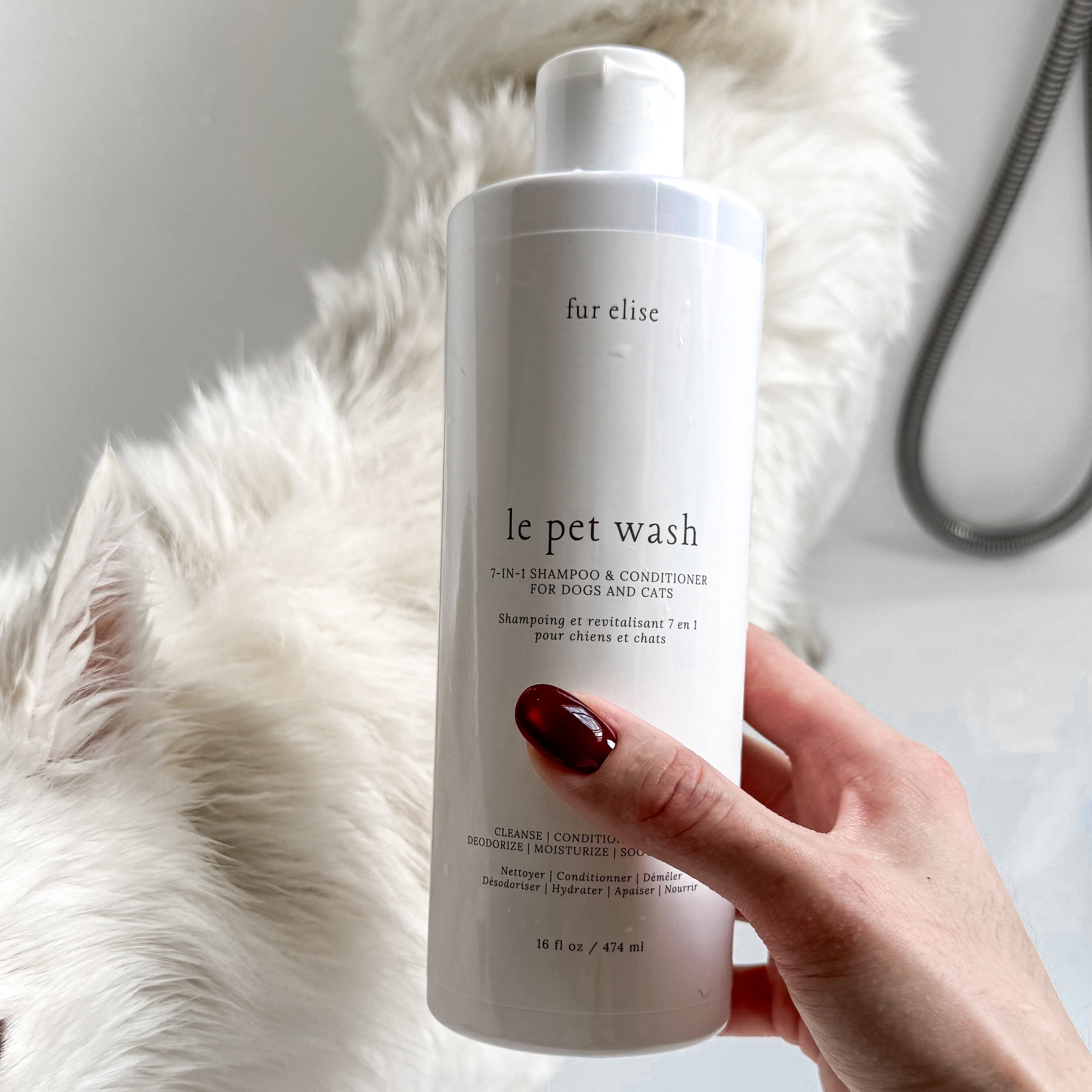 Le Pet Wash