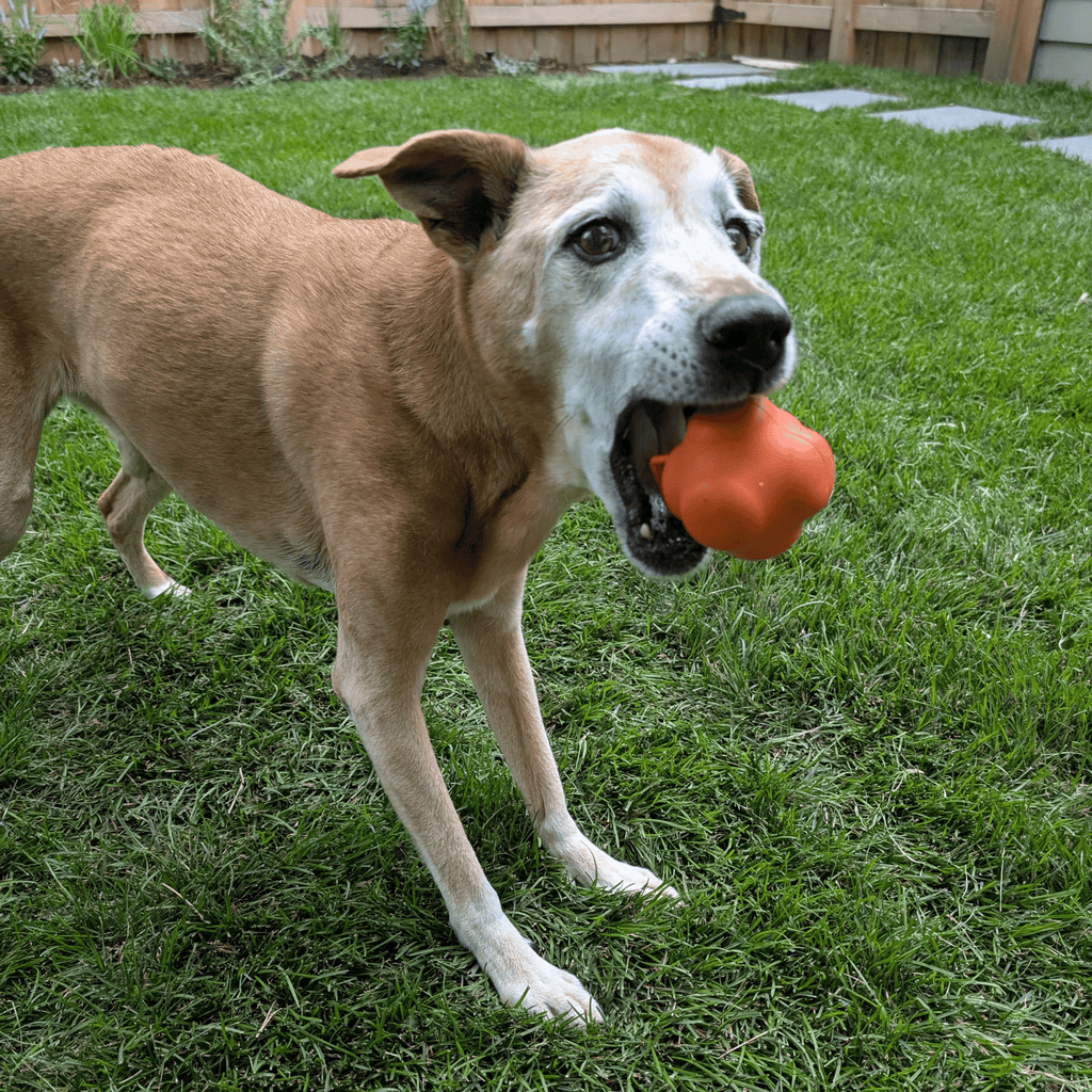 Farm To Pet Dog Fetch Balls