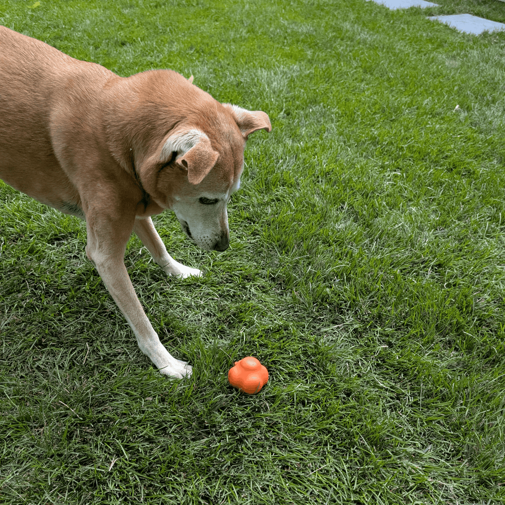 Farm To Pet Dog Fetch Balls