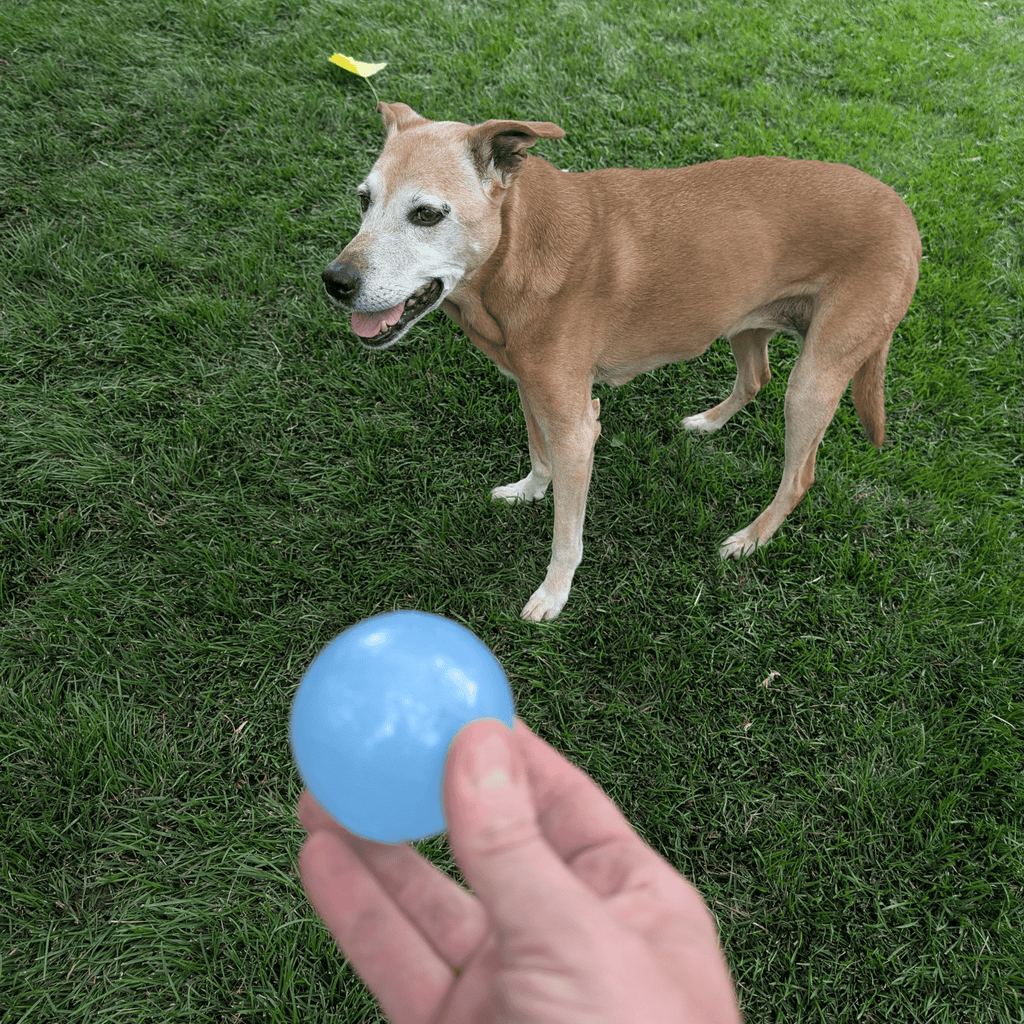 Farm To Pet Dog Fetch Balls