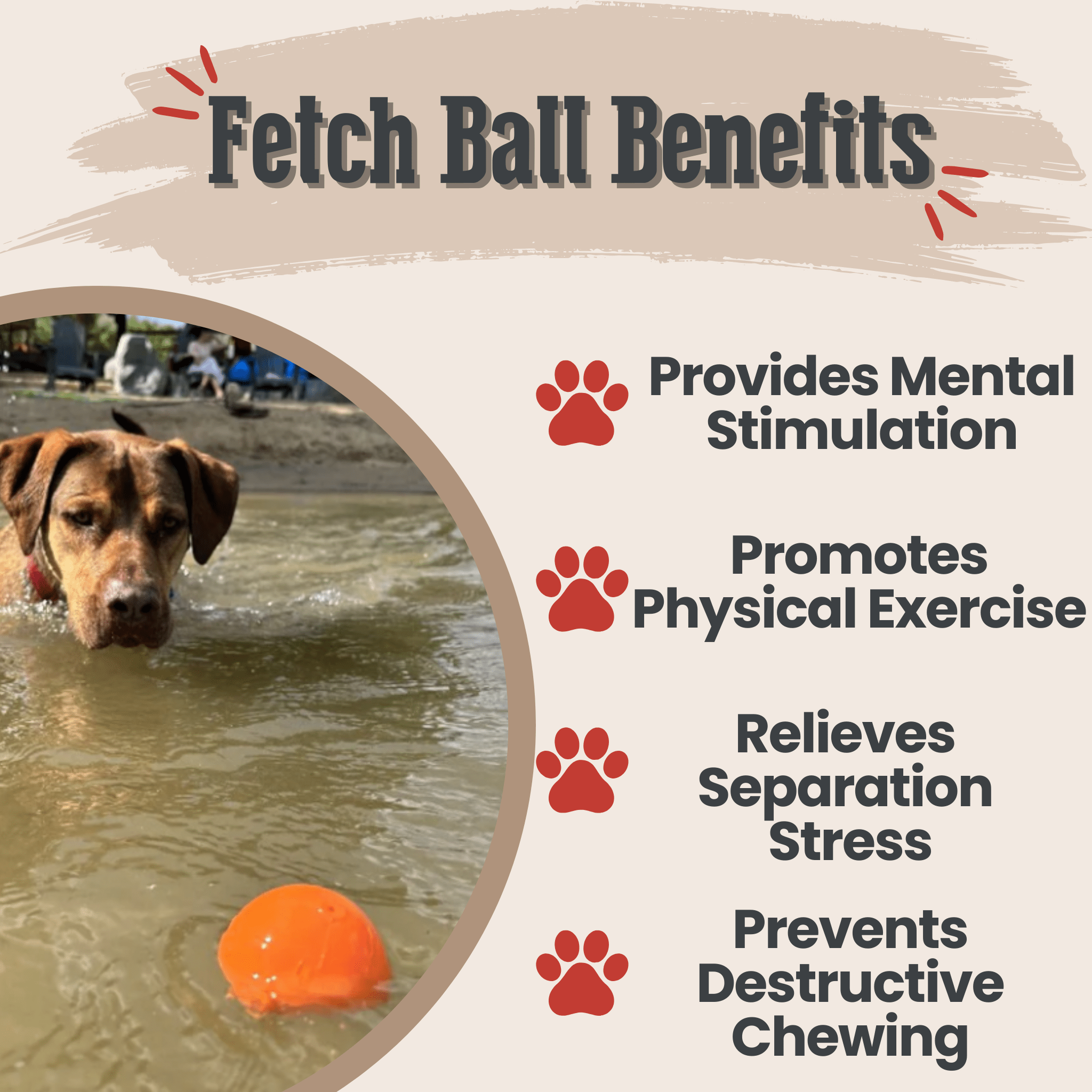 Farm To Pet Dog Fetch Balls